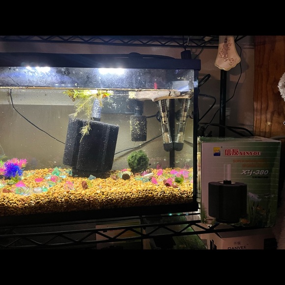 Extra Large XY-380 Bio Sponge Filter - Picture 2 of 3